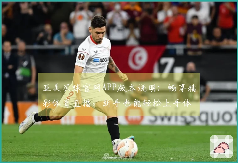 亚美买球官网APP版本说明：畅享精彩体育直播，新手也能轻松上手体验