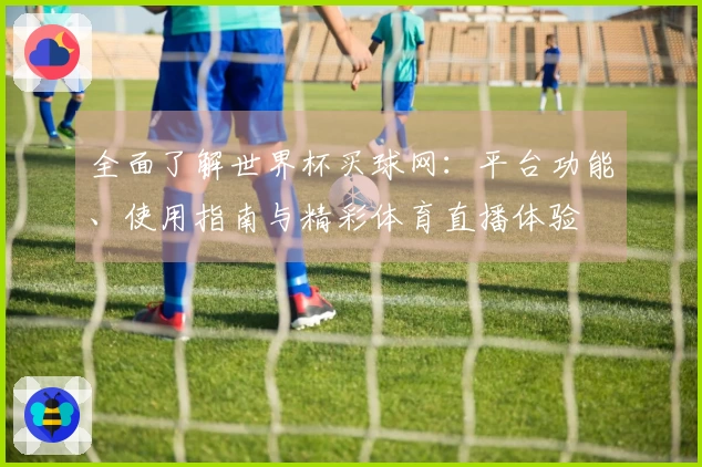 全面了解世界杯买球网：平台功能、使用指南与精彩体育直播体验