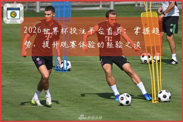 2026世界杯投注平台首页：掌握趋势，提升观赛体验的经验之谈