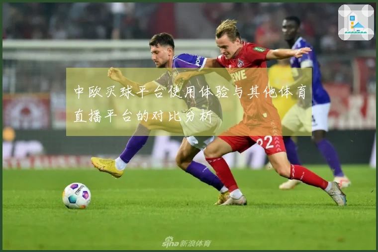 中欧买球平台使用体验与其他体育直播平台的对比分析